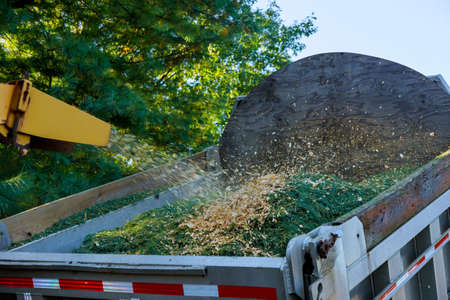 Professional a wood chipper at work machinery shredder placed in for chipping