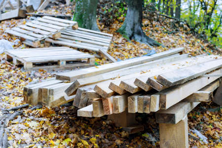 Wooden boards in a building materials industry wood processing