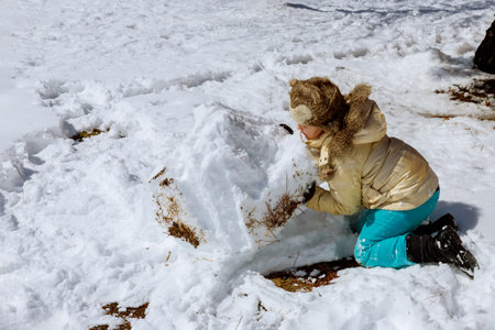 Cute little caucasian girl playing in the winter snow on a child