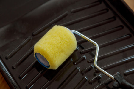 Rollers for painting in the walls and ceiling easy interior renovation