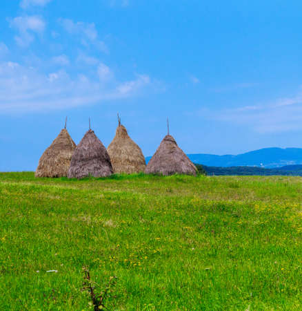Mowing dry grass in haystack on blue sky in farm field big haystack harvest