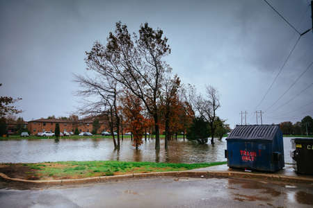 Hurricane flood and wind damage tornado storm felled trees floodingの写真素材