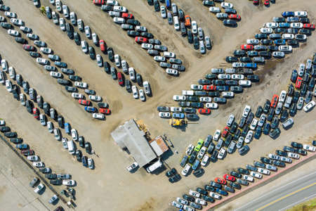 Auction lot on car distributed in rows a used cars yard terminal parkedの写真素材