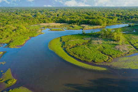 Aerial view of natural pond on a sunny summer day forest panorama