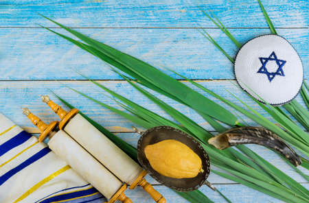 Jewish festival Sukkot in lulav, hadas, arava of traditional symbols religionの写真素材
