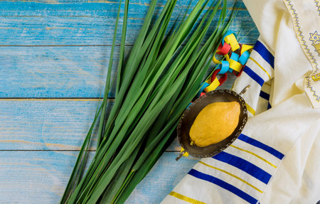 Decorations Jewish holiday celebration of Sukkot with four species etrog, lulav, hadas, aravaの写真素材
