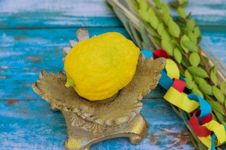 Jewish Holiday Sukkot traditional festival symbols four species Etrog lulav hadas arava.