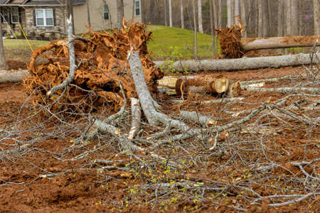Loggers clearing forest with preparation land for new residential construction homes