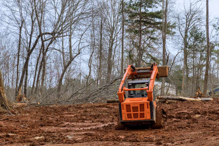 Excavator uprooting trees on land in bulldozer clearing land from trees, roots and branches with...