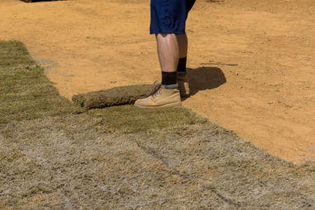Gardener is unrolling laying sod for new garden lawn at a residential construction site