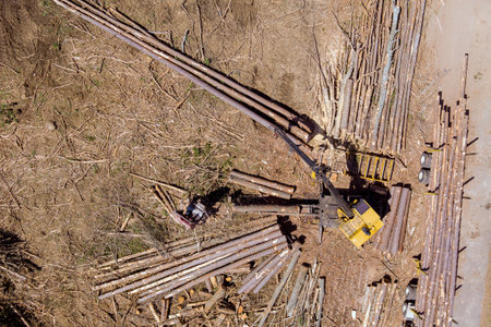 Wood log loader to large transportation truck on crane operator loading