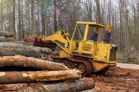 Backhoe for forestry work during clearing forest for new development construction siteの写真素材