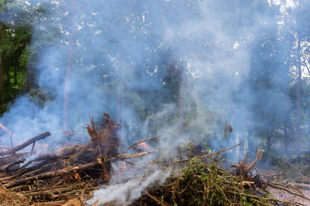 Preparation the land for the construction of houses and burning of uprooted forests on construction siteの写真素材