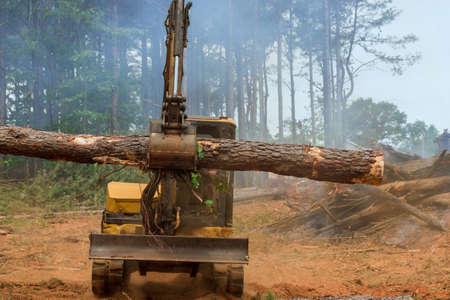 A deforestation a work is performed on a tractor manipulator which lifts logs to prepare land for the constructionの写真素材
