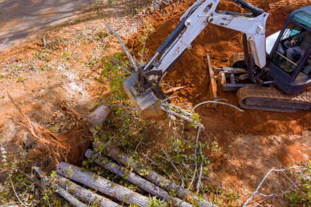 With use tractors skid steers, landscaping works were carried out on excavation of roots from ground...