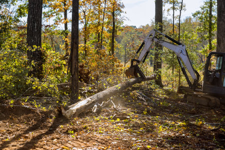 Landscaping work to clear land roots as part of housing development subdivision, using tractors skid...