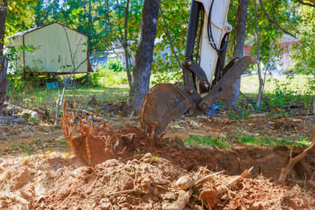 Worker uses an excavator to uproot trees as part of preparation ground for construction