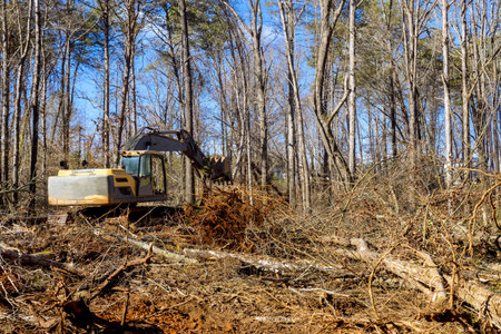 Worker uproots trees in forest with help of an excavator in preparation for building houseの写真素材