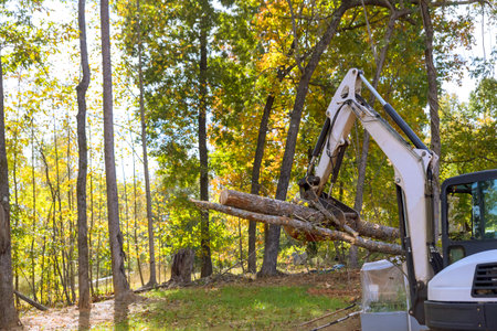 Housing complex construction: trees cleared by skid steer tractor in landscaping works