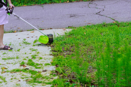 Grass is mowed by worker using hand trimmer in during lawn care weed garden.