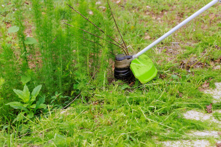Lawn care weed garden worker mows green grass with hand trimmer