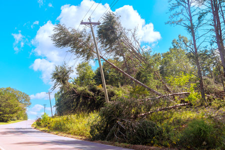 An electrical wire is crushed by fallen tree during tropical storm hurricaneの写真素材