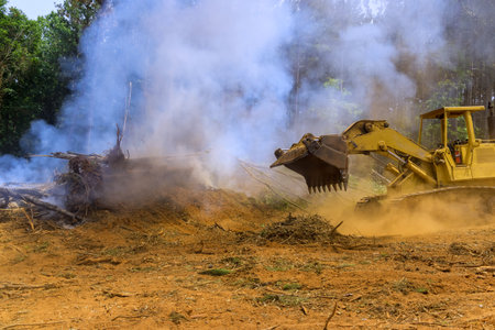 In forest, firefighters work with an excavator to clear debris after fire has consumed treeの写真素材