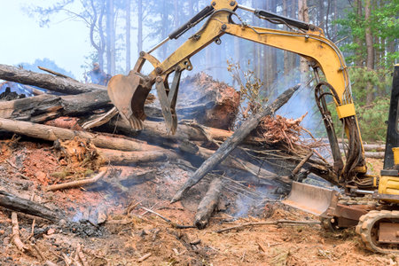 Fire fighters are working in forest while an excavator is removing wood that has been burned by fireの写真素材