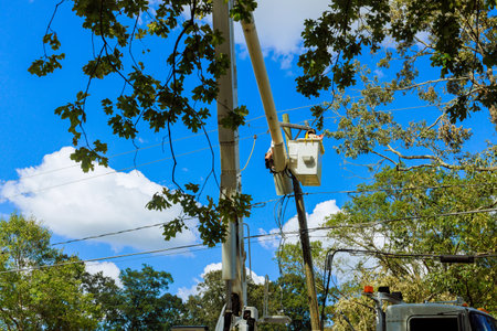 Power is being restored after power line was damaged during severe violent hurricaneの写真素材