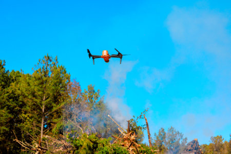 An inspector relies on drone to supervise burning of uprooted trees for land clearing purposes.