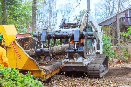 Workers use skid steer loader to remove large logs from yard, ensuring an organized cleanup of area.