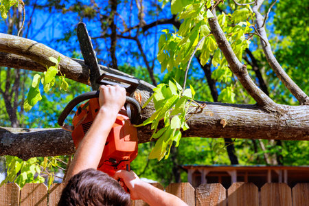 Worker uses chainsaw is actively engaged in cutting large tree trunk, surrounded by natural, wooded environment.の写真素材