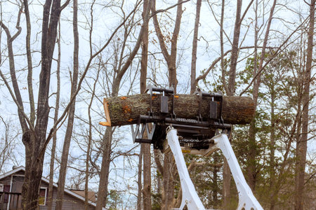 Tree service machine operates in forest, lifting substantial log amidst bare trees