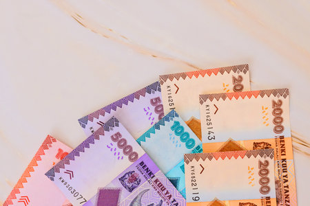 Tanzanian shilling banknotes currency notes of various denominations are spread out on marble surfaceの写真素材