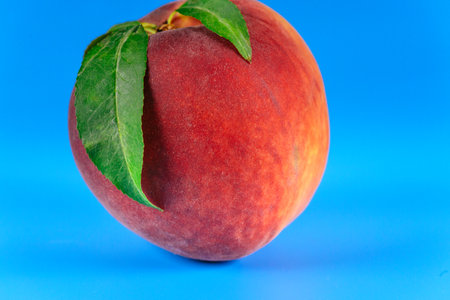Fresh organic peach with green leaves rests against bright blue background, highlighting its smooth skin rich color.の写真素材