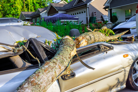 Strong winds cause tree branches to fall on parked car in quiet suburban area post storm.
