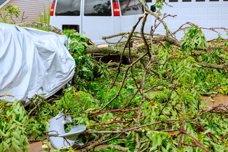 Fallen branches cover damaged car as storm debris surrounds driveway in suburban neighborhood.