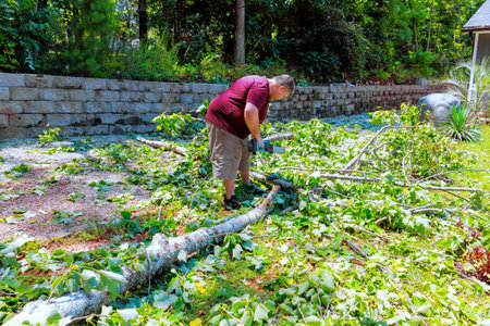 Man cleaning up fallen tree branches in backyard during after storm in residential suburban location