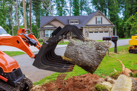 Construction skid steer equipment extracts massive tree stump from yard located in peaceful residential area after strong tornadoの写真素材