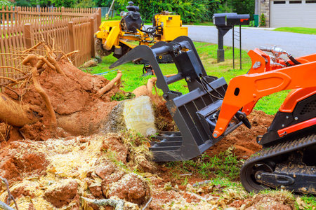 Excavator digs up large tree stump in backyard, heavy landscaping work on during after hurricane