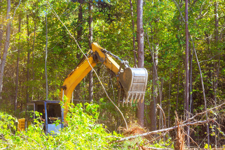 Excavator operates efficiently, clearing trees in deforestation forest industrial power of machinery