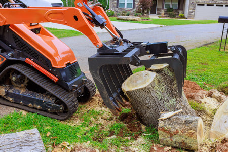 Compact skid steer track loader is working to remove large tree stump after strong tornado from...