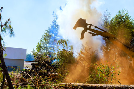 A large excavator works diligently on a sunny day, clearing trees and debris for upcoming...