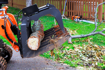 Construction machine lifts log while yard maintenance occurs in residential area in work day