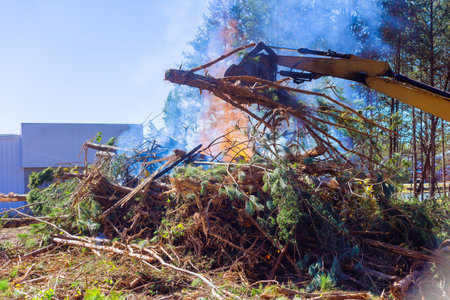 Large equipment removes tree branches while flames rise from burning pile of debris on forested area works dayの写真素材