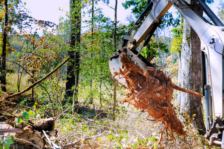 Excavator skillfully extracts tree roots from ground in forested areaの写真素材