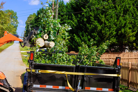 Workers clear fallen branches debris using truck on calm, after tornado in suburban area.