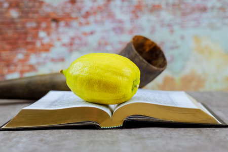 Traditional etrog citrus fruit, kippah on tallit prayer shawl during Jewish holidays Sukkot festival traditionsの写真素材