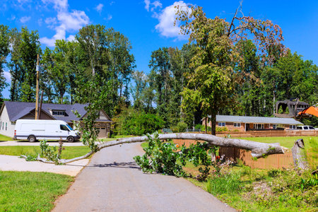 large tree has fallen across road, blocking access in peaceful neighborhood after tornado