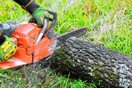 Worker is operating chainsaw to cut large log while surrounded by green grass, vegetation.